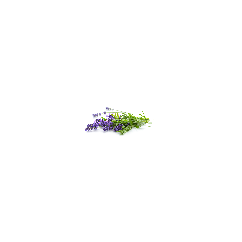 Lavandin (le bouquet)