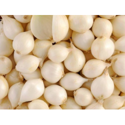 Oignon blanc  (le kilo)