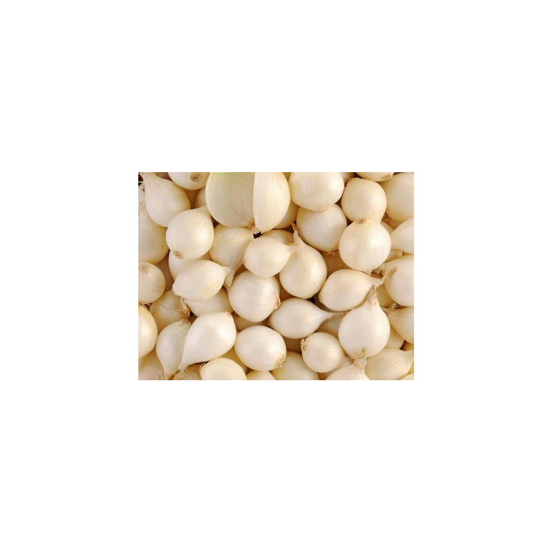 Oignon blanc  (le kilo)