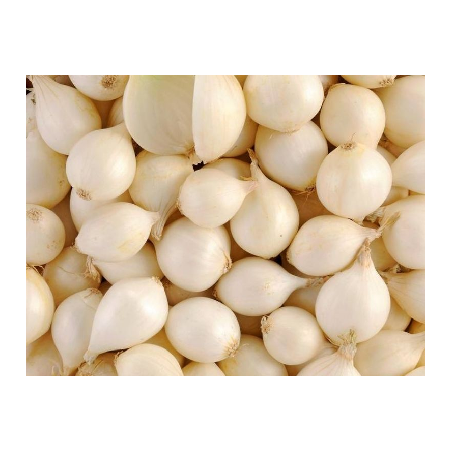 Oignon blanc  (le kilo)