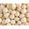 Oignon blanc  (le kilo)