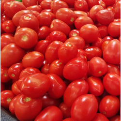 tomate Roma (5 kilos pour 7...