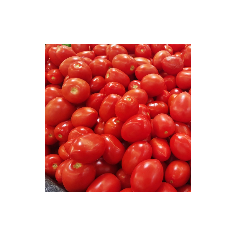 tomate Roma (les 5 kg)