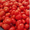 tomate Roma (les 5 kg)
