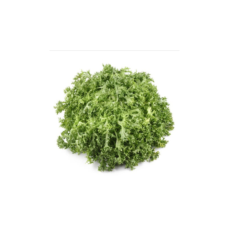 Salade frisée