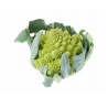 Chou romanesco