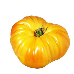 Tomate ananas (le kilo)