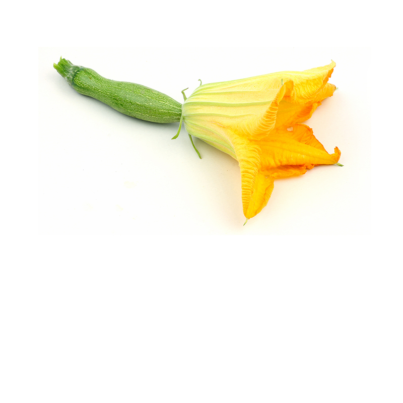 Fleurs de courgette (les 5)