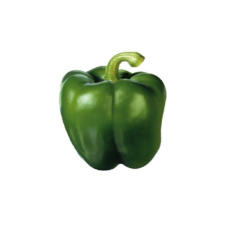 Poivron vert (le kilo)