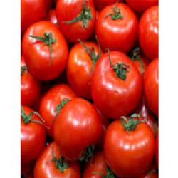 Tomate ronde (les 5kg)