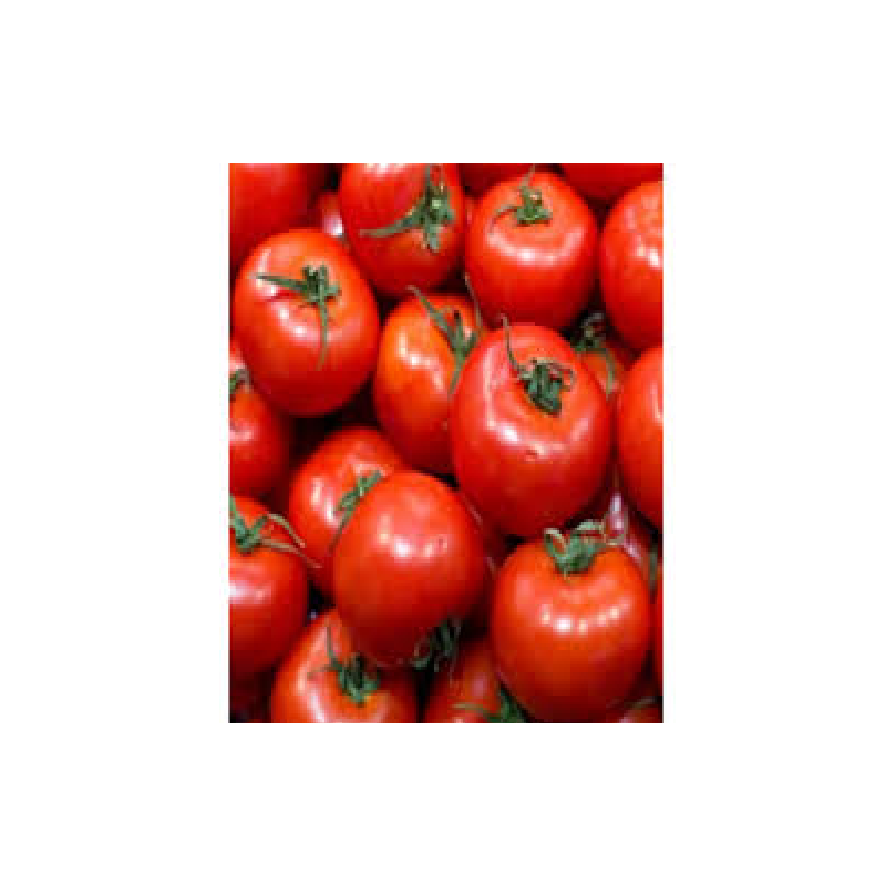Tomate ronde (les 5kg)