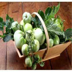 Tomate verte (le kilo)
