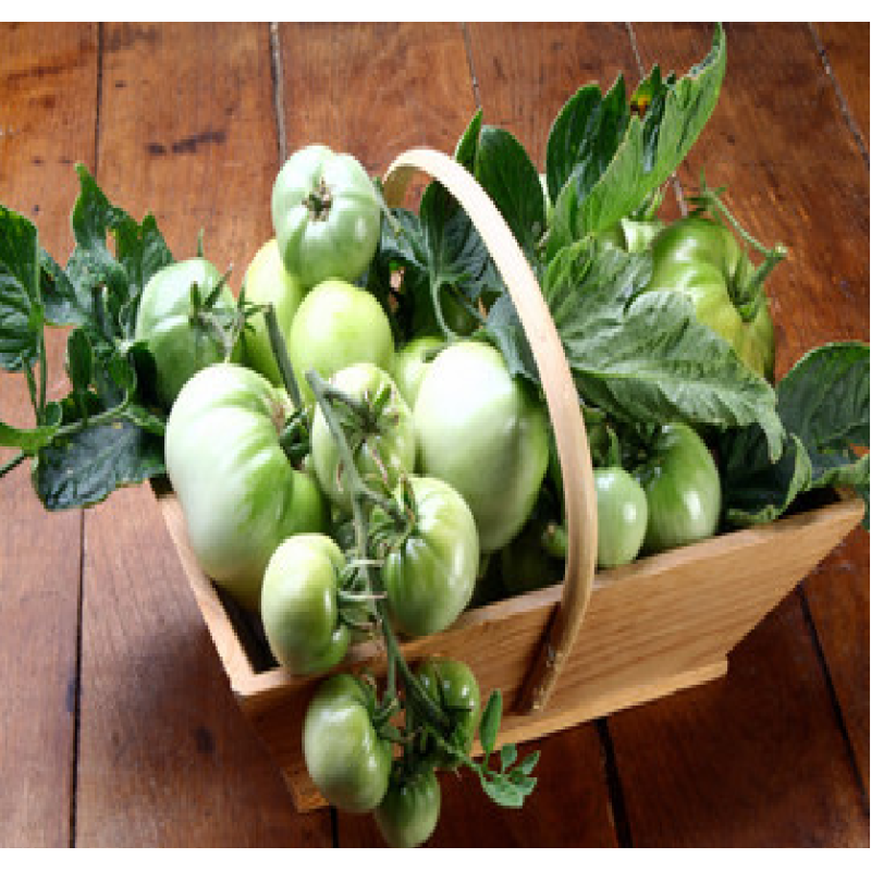 Tomate verte (le kilo)