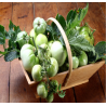 Tomate verte (le kilo)