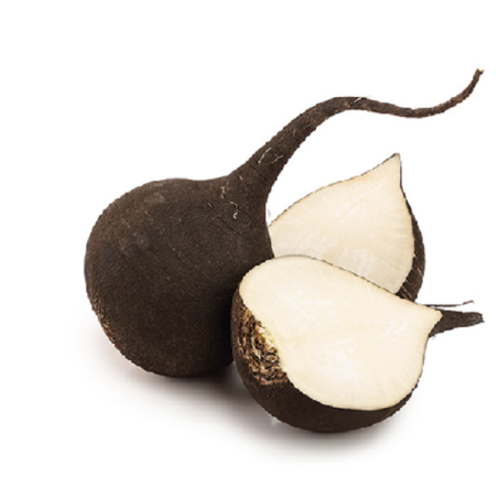 Radis noir (la pièce)