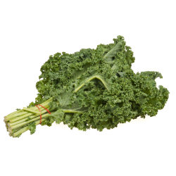 Chou kale (la botte)