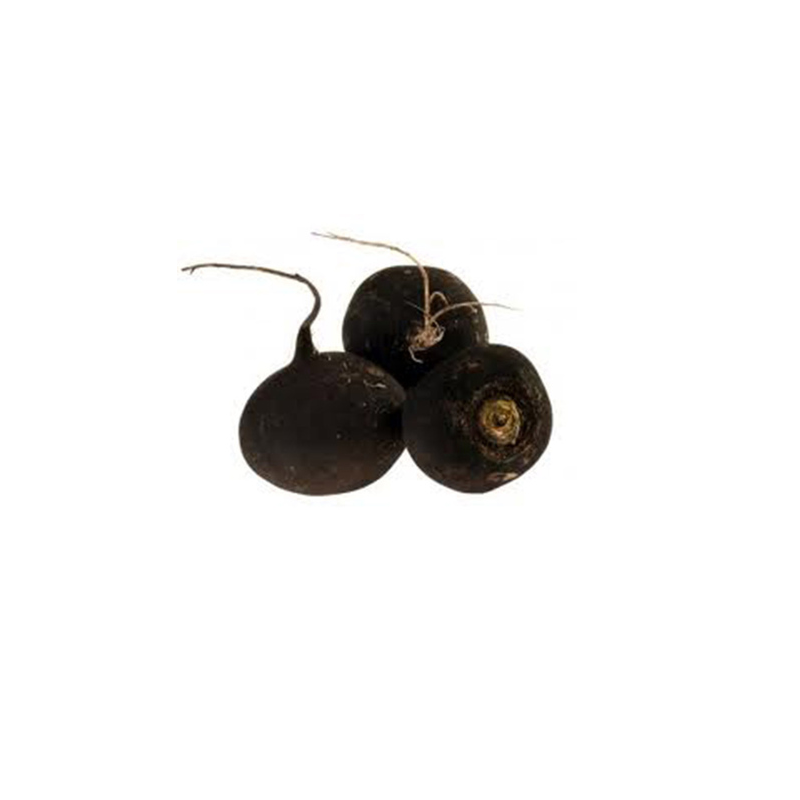 Radis noir (la pièce)