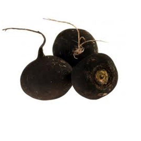 Radis noir (la pièce)