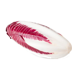 Chicorée Trévise (la pièce)