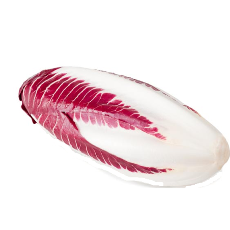 Chicorée Trévise (la pièce)