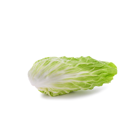 Chicorée pain de sucre (la pièce)