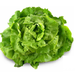 Feuille de chêne blonde (la...