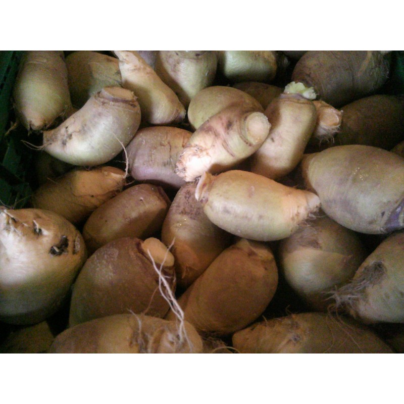 Rutabaga  (le kilo)