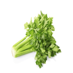 CELERI branche le pied (le...