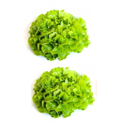 Promotion : les 2 salades...