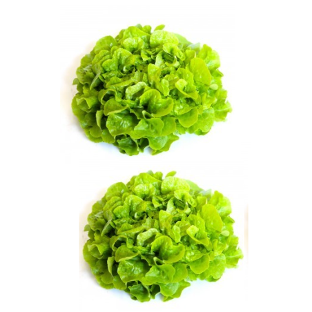 Promotion : les 2 salades au choix :  1€50