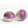 Navet violet (le kilo)