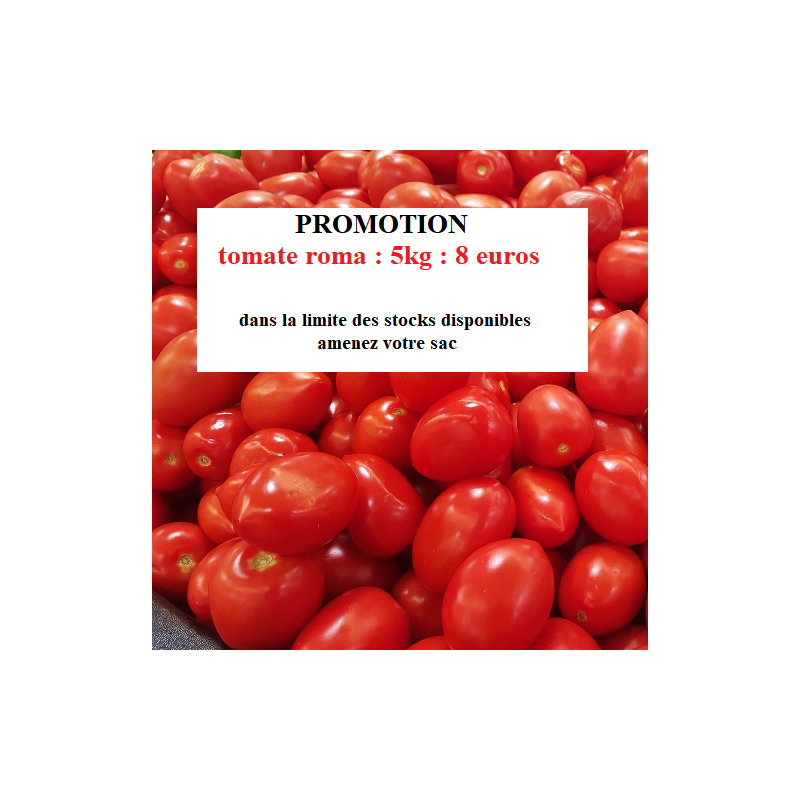 tomates Roma (les 5 kilos)