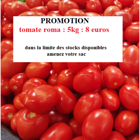 tomates Roma (les 5 kilos)