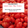 tomates Roma (les 5 kilos)
