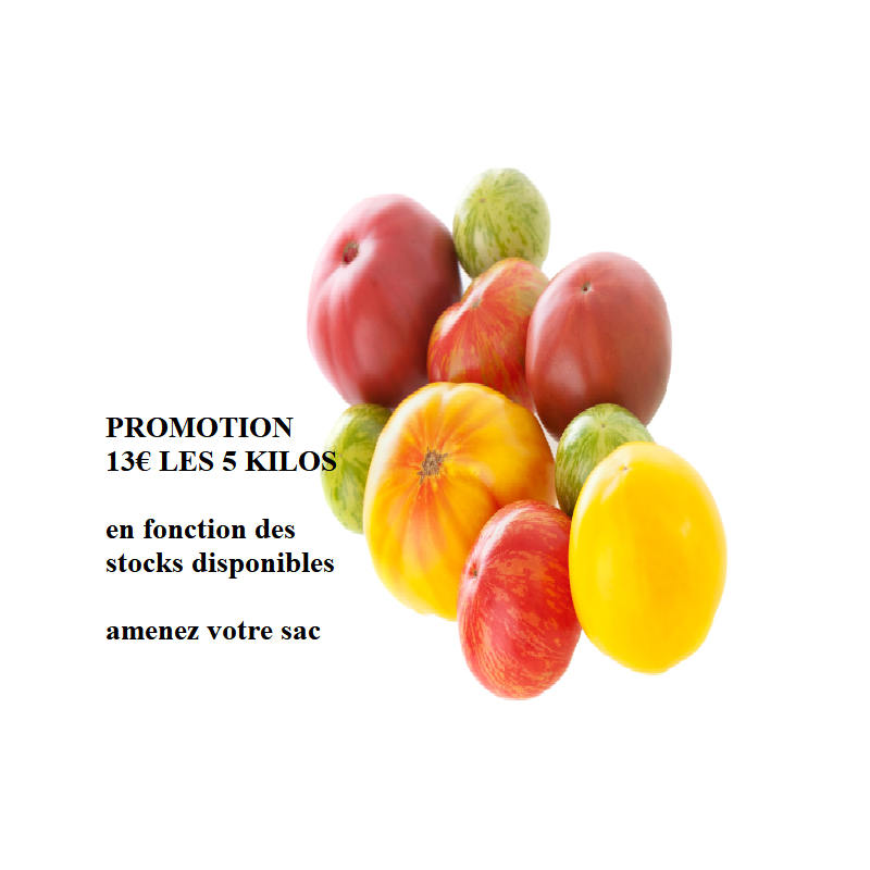 Tomates anciennes (les 5 kg)
