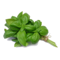 Basilic (le bouquet)