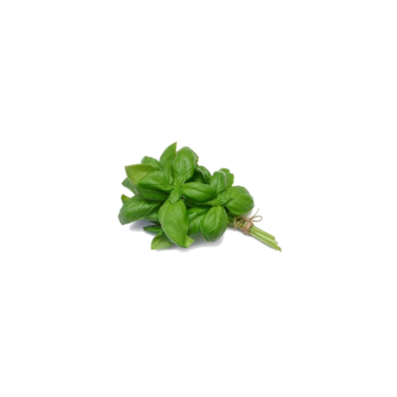 Basilic (le bouquet)