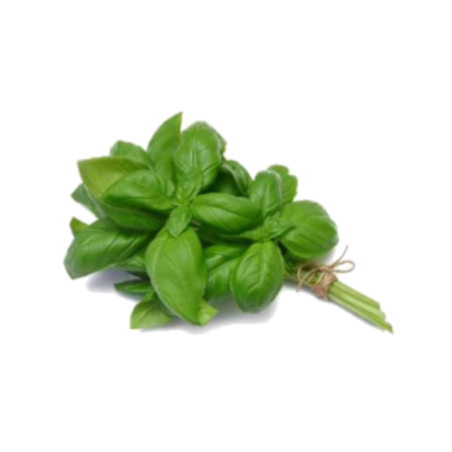 Basilic (le bouquet)