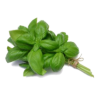 Basilic (le bouquet)