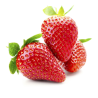 Fraises  (les 500g)