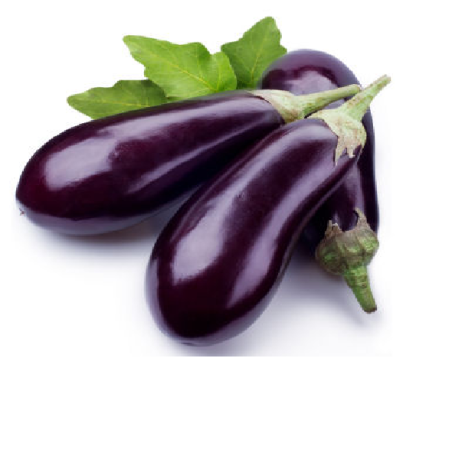 Aubergine violette (le kilo)