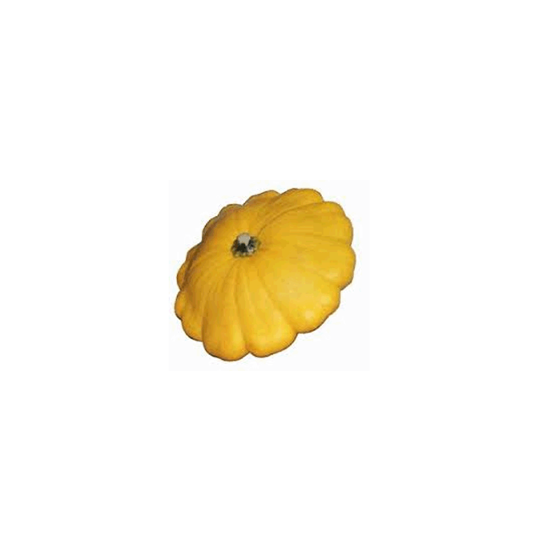 Pâtisson (la pièce)