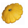 Pâtisson (la pièce)